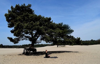Doubletree By Hilton Royal Parc Soestduinen