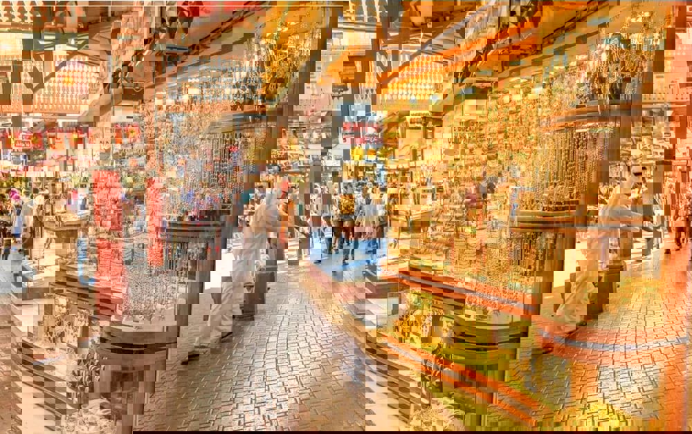 Excelsior Hotel Downtown