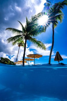 Fisherman's Cove Resort
