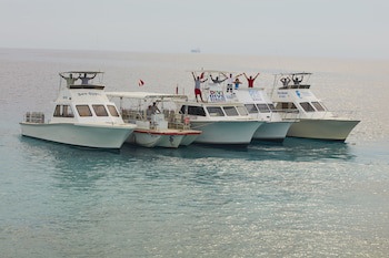 Divi Flamingo Beach Resort & Casino