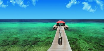 Divi Flamingo Beach Resort & Casino