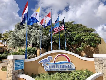 Divi Flamingo Beach Resort & Casino