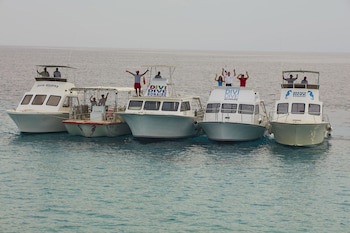 Divi Flamingo Beach Resort & Casino