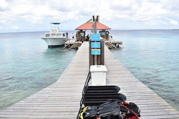 Divi Flamingo Beach Resort & Casino