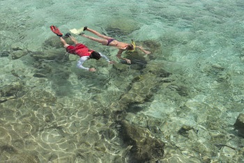 Divi Flamingo Beach Resort & Casino