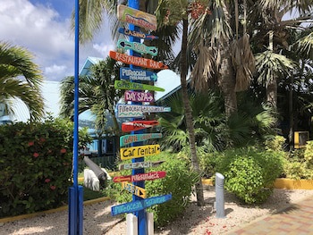 Divi Flamingo Beach Resort & Casino