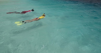 Divi Flamingo Beach Resort & Casino