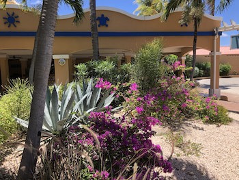 Divi Flamingo Beach Resort & Casino
