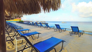 Divi Flamingo Beach Resort & Casino
