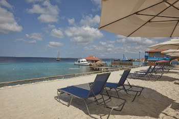 Divi Flamingo Beach Resort & Casino