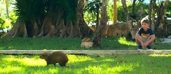 Allegro Playacar - All Inclusive