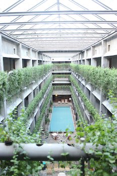 Greenhost Boutique Hotel