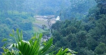 Green Trees Munnar