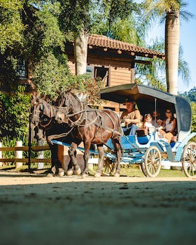Fazzenda Park Resort
