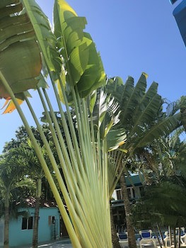 New Garden Hotel