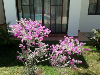Hotel Coral Blanco
