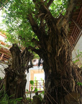 Hyakunagaran