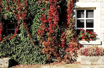 B&B La Buissonniere