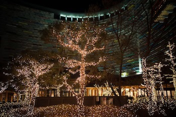 Lotte Buyeo Resort
