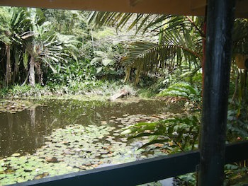 Rainforest Eco Lodge