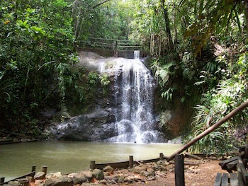Rainforest Eco Lodge