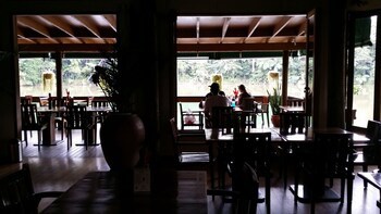 Rainforest Eco Lodge