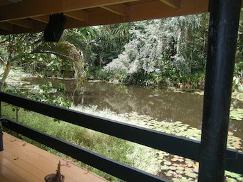 Rainforest Eco Lodge