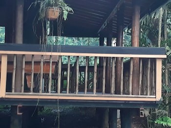 Rainforest Eco Lodge