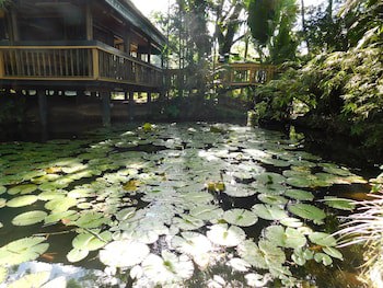Rainforest Eco Lodge