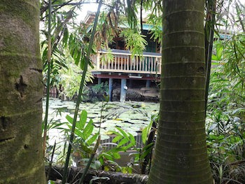 Rainforest Eco Lodge