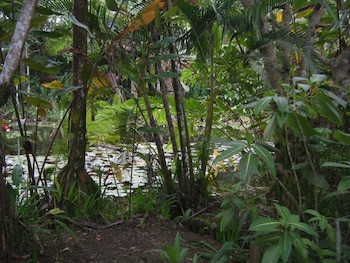 Rainforest Eco Lodge