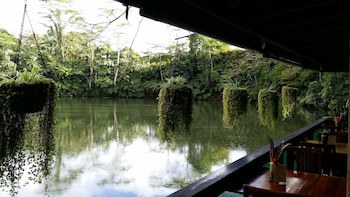 Rainforest Eco Lodge