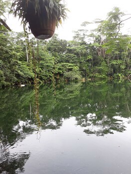 Rainforest Eco Lodge