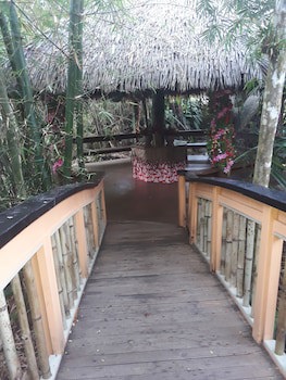 Rainforest Eco Lodge