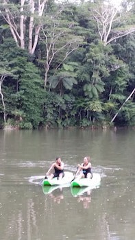 Rainforest Eco Lodge