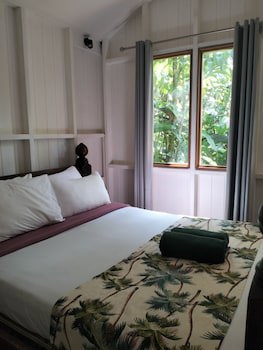Rainforest Eco Lodge