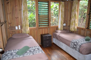Rainforest Eco Lodge