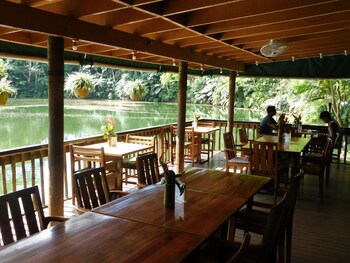 Rainforest Eco Lodge
