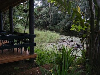Rainforest Eco Lodge