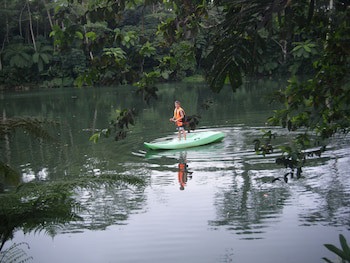 Rainforest Eco Lodge