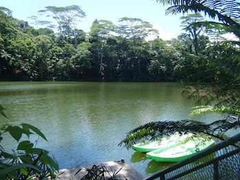 Rainforest Eco Lodge