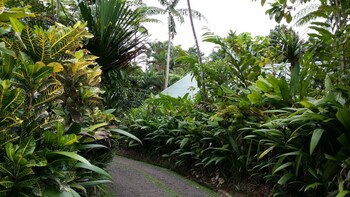 Rainforest Eco Lodge
