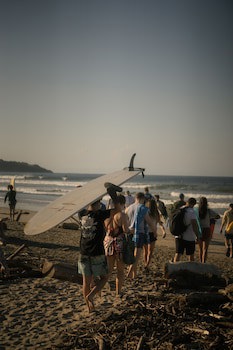 Jungle's Edge