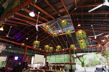 Jungle's Edge