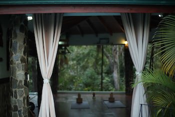 Jungle's Edge