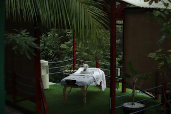 Jungle's Edge