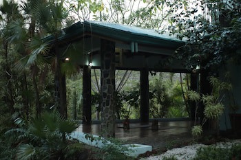 Jungle's Edge