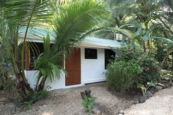 Jungle's Edge