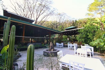 Jungle's Edge