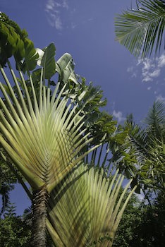 Anyar Estate
